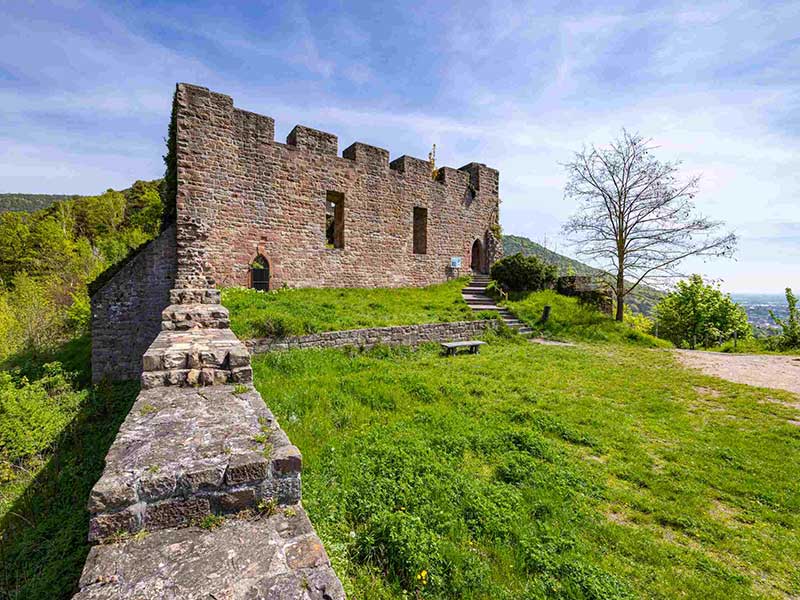Am 19. November Ziel der Seniorenwanderung: die Wolfsburg. Foto: CC-BY Pfalz Touristik, Heimatlichter GmbH