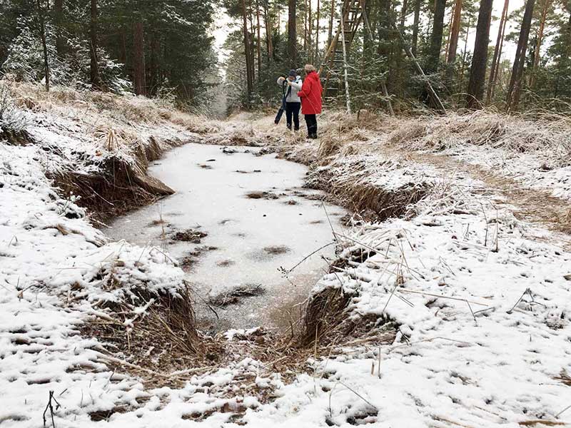 Eisplatte an einem der Loop-Wege.