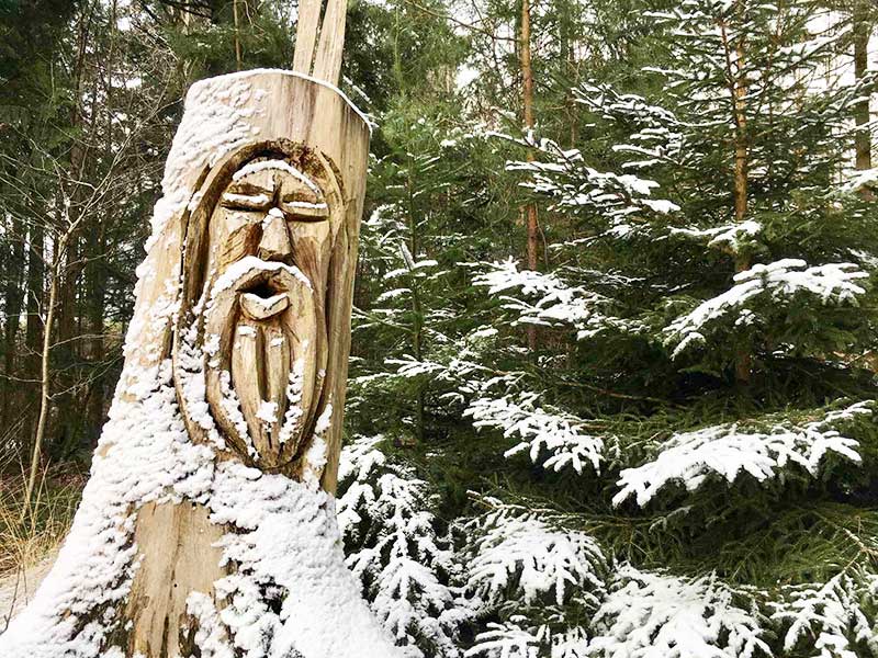 Waldkauz an der Kühungerquelle.