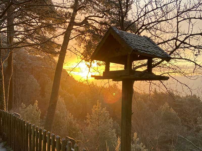 Sonnenaufgang am Hohe-Loog-Morgen im Dezember.