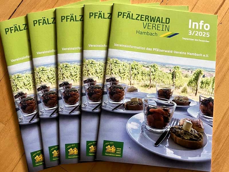 Info Ausgabe 3 2025