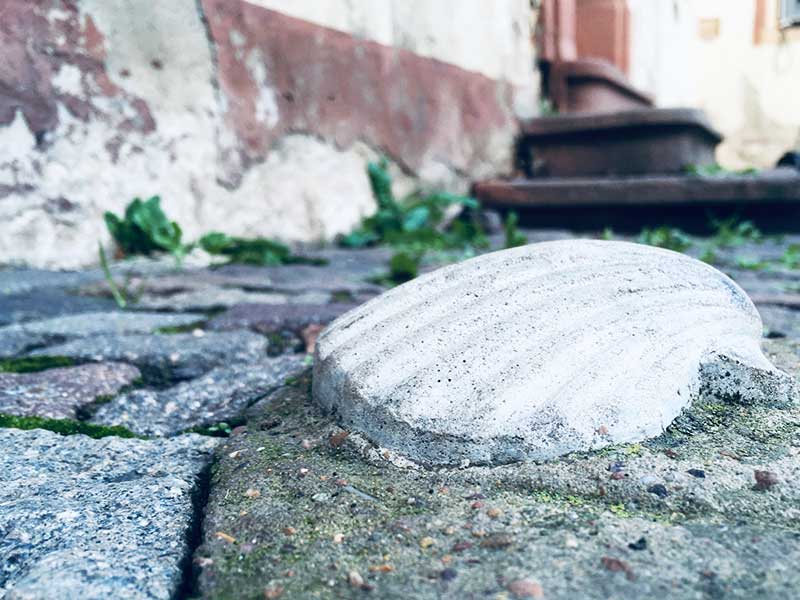 Wo ist diese Muschel? Preisrätsel Oktober 2025