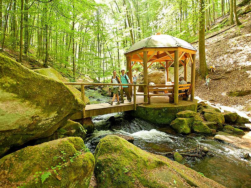 In die Karlstalschlucht führt eine der Seniorenwanderungen (Tour A) am 12. November. Foto: Rheinland-Pfalz Tourismus GmbH, Dominik Ketz