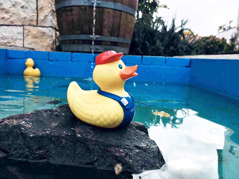 Preiserätsel November 2025