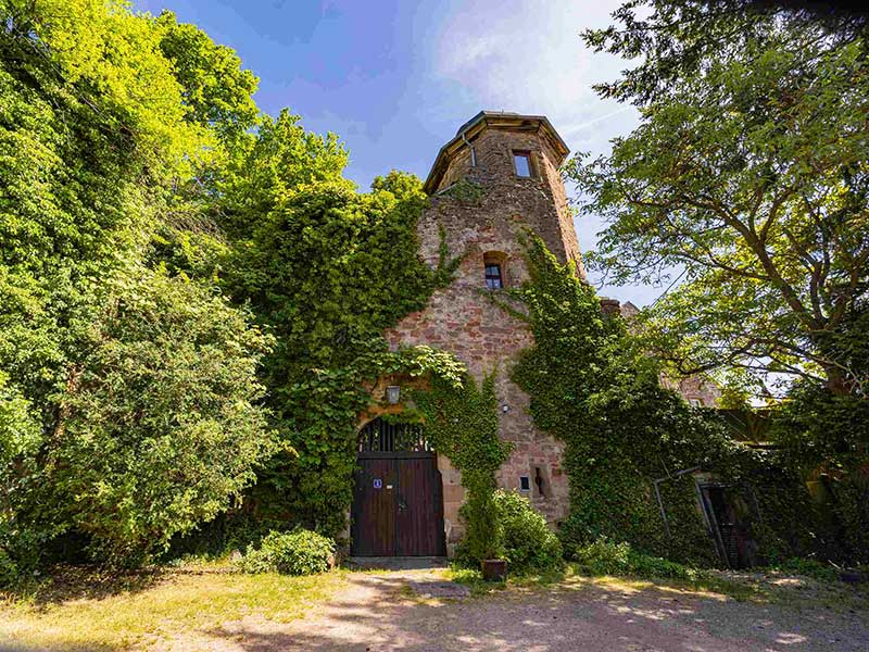 Kropsburg in St. Martin