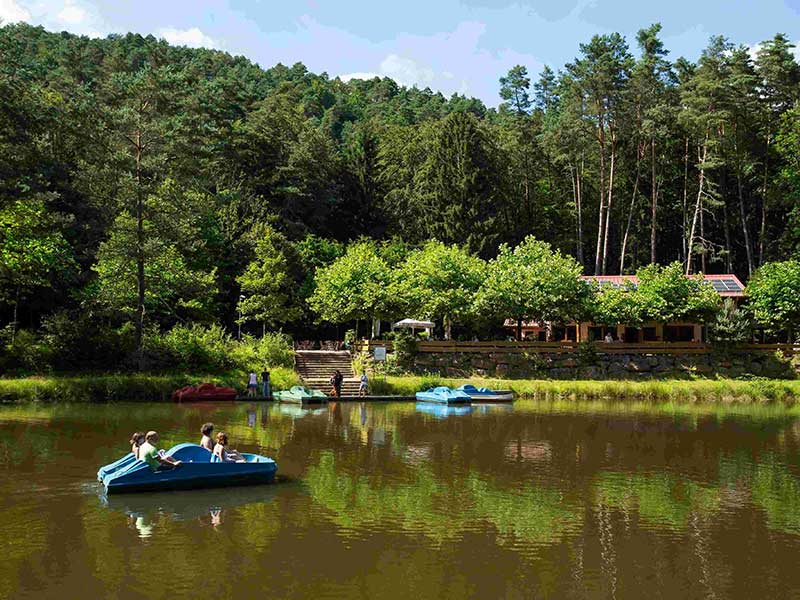 Paddelweiher bei Hauenstein. Foto: Pfalz-Touristik.