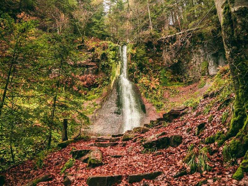 Foto: Max Günter, Baiersbronn Touristik
